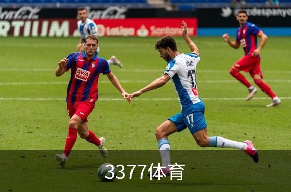 关于3377体育
